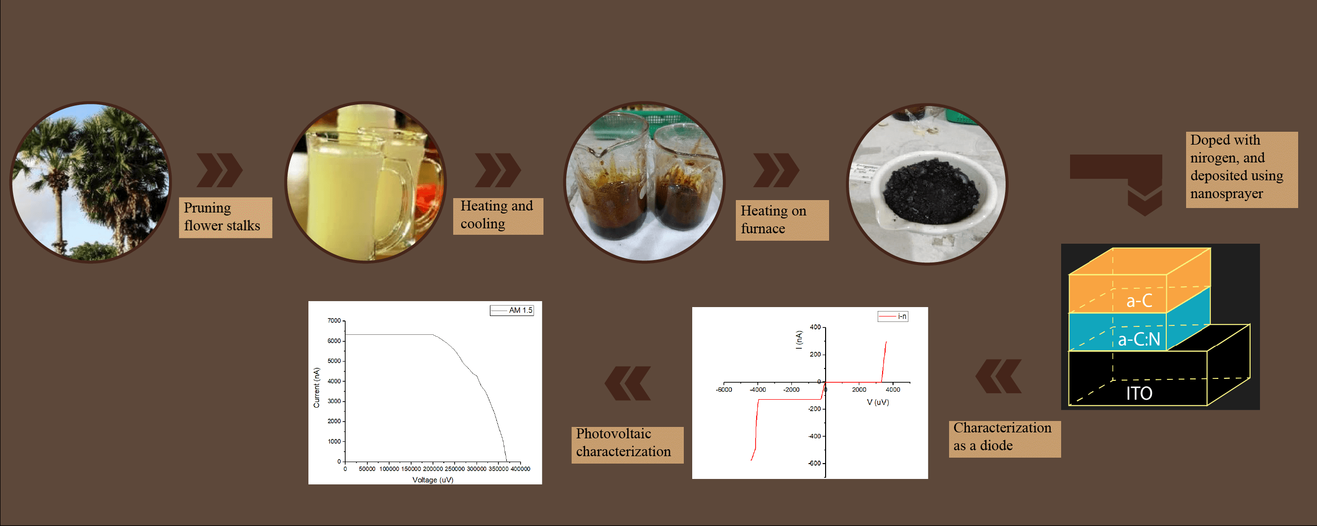 Nitrogen-Doped Amorphous Carbon Homojunction from Palmyra Sugar as a Renewable Solar Cell