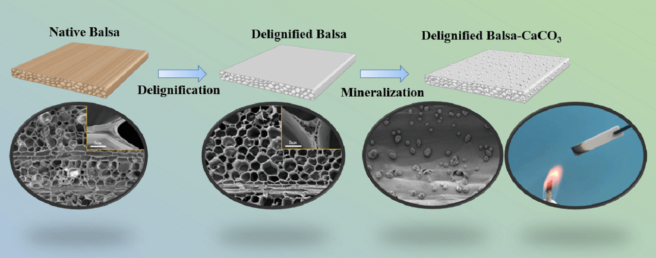 Flame Retardant Material Based on Cellulose Scaffold Mineralized by Calcium Carbonate