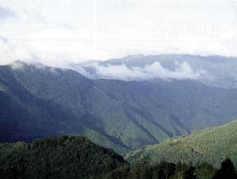 大滝山方水源の森