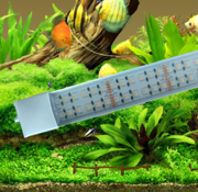 24 volt combi led balk koud wit aquarium led verlichting.