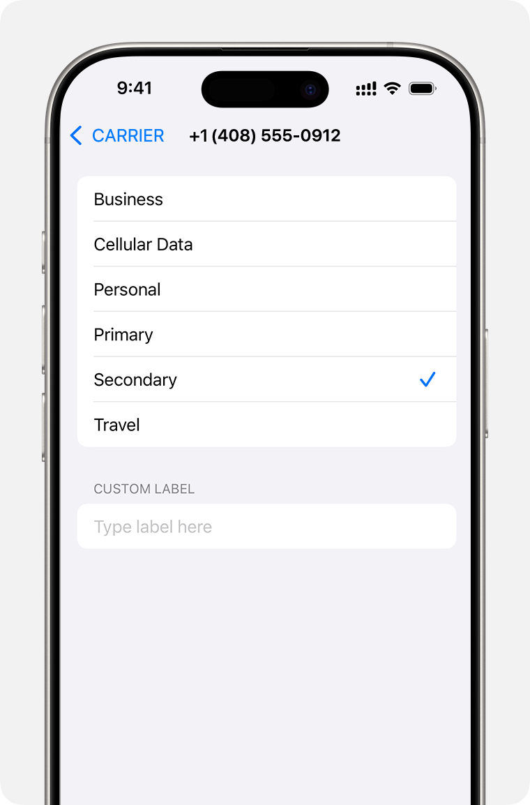 Dual eSIM setup menu with list of mobile data plan labels