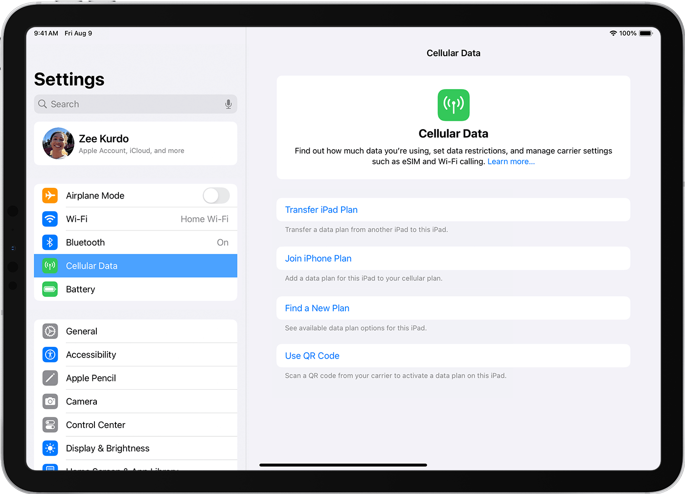 iPad Pro screen displaying cellular data plan options for setting up eSIM.