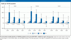 The heat-related mortality (deaths per 100 000 population) in the period 2018–2021, stratified by region and age group