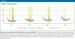 Mortality over time (deaths per 100 000 population) in the period 2018–2021