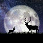 Get ready for a ‘full moon weekend’ as the Buck Moon arrives