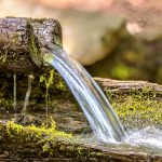 Groundwater has a vital role in ecosystem survival