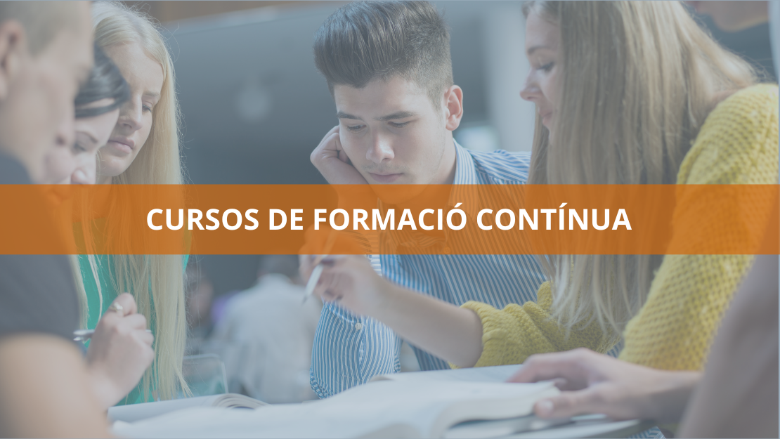 Cursos de formació contínua de la ua