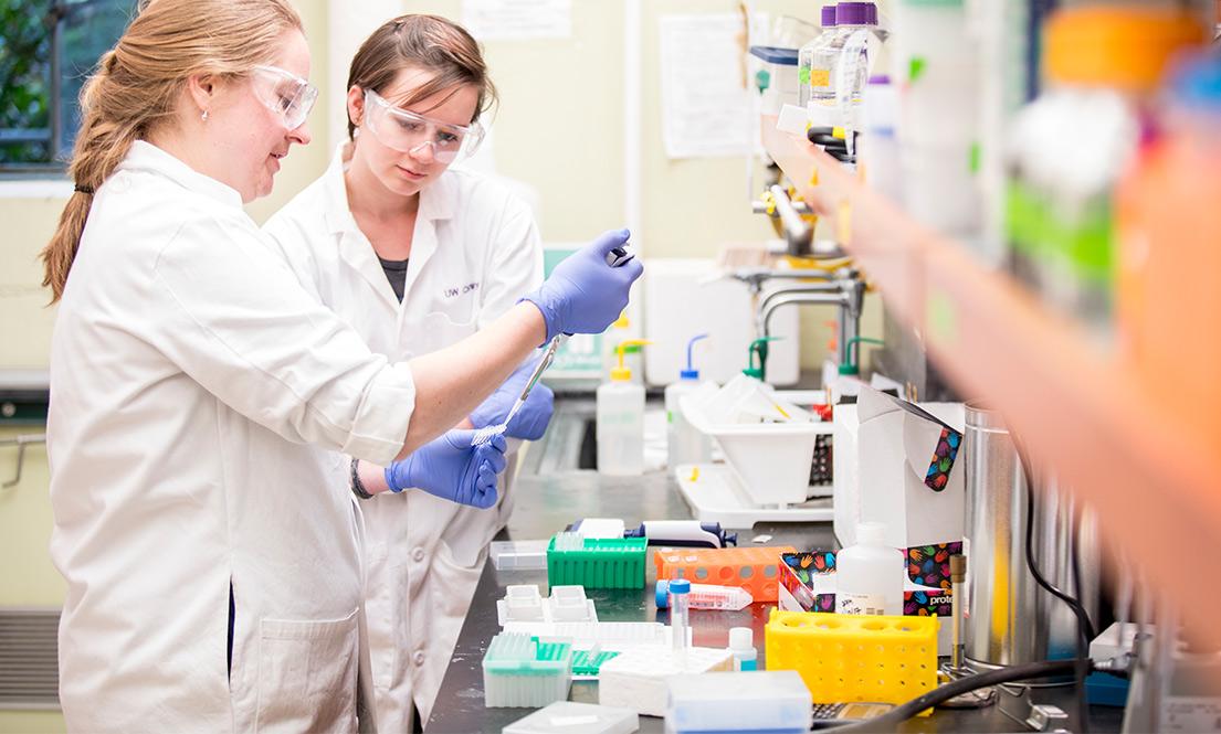 group working in a lab