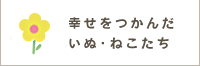 幸せをつかんだいぬ・ねこたち