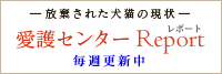 ―放棄された犬猫たちの現状―愛護センターリポート