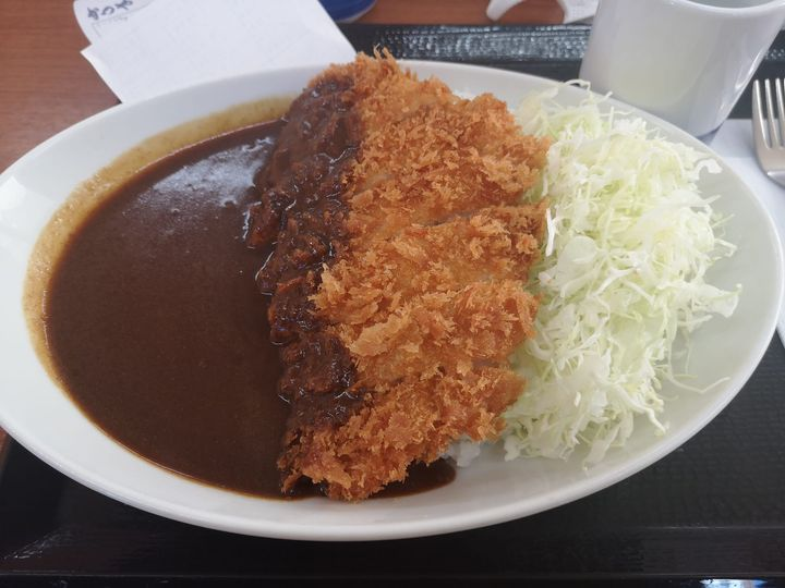 お昼は何を食べましたか？ 私はかつやさんでカツカレーの竹をいただきました。 揚げたてのカツ旨かった～