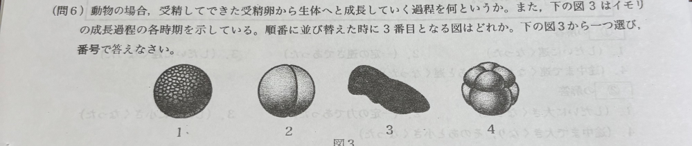 中学理科についての質問です。下記の問題の答えが発生と1番だったのですが、1番になる理由が分かりません。教えてもらいたいです。よろしくお願いします