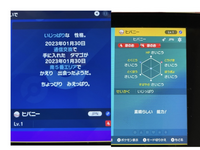 ポケモンSVの改造ポケモンついてです
色違い同士で交換したヒバニー画改造っぽいので判断して頂けないでしょうか 