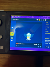 ポケモンsvについてです。
このクワッスは色違いですか？ 