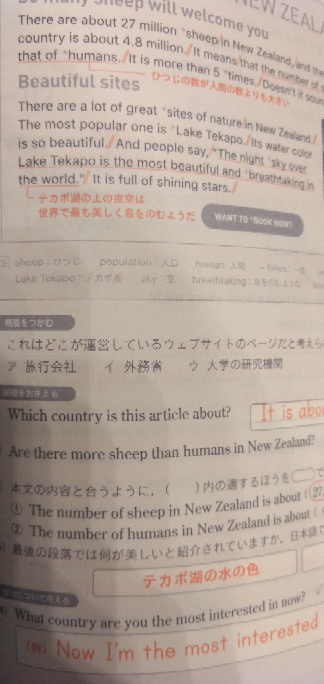 なぜmoreの後が羊なんですか？ 形容詞か副詞じゃないんですか？