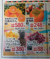 今日（2025.01.10）の新聞折込チラシで 福岡県産 富有柿 1個 248円（税込268円） と言うのがあった。 今の時期の柿はどうして出荷できるのか？？ 不思議です。