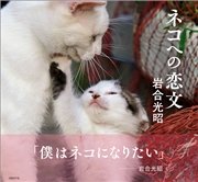 ネコへの恋文