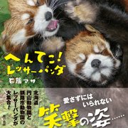 へんてこ！ レッサーパンダ