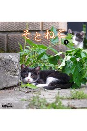 そとねこ VOL.01