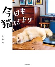 今日も猫だまり