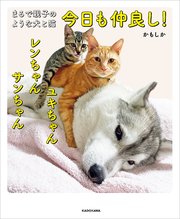 まるで親子のような犬と猫 今日も仲良し！ ユキちゃん レンちゃん サンちゃん