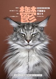 鬱ー不機嫌な猫ー