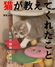 猫が教えてくれたこと