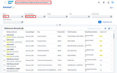 sap-lookup-gr-cdq-de-results.png
