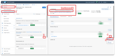 pgvector-obtain-postgresql-instance-id.png