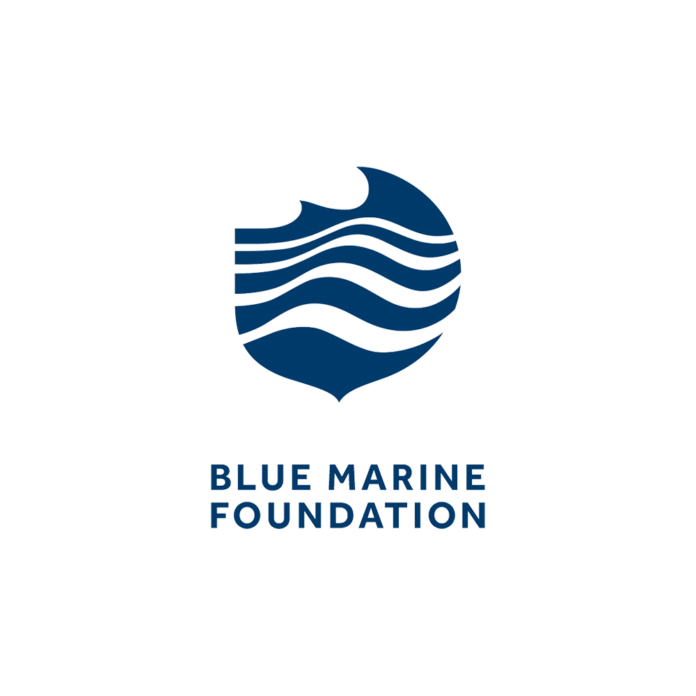 Blue Marine Foundation