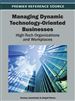 Managing Dynamic Technology-Oriented Businesses: High-Tech Organizations and Workplaces