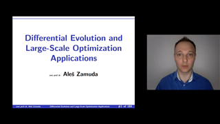 Differential Evolution and Large-Scale Optimization Applications