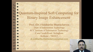 Quantum-Inspired Soft Computing for Binary Image Analysis