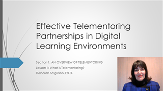 Effective Telementoring Partnerships in Digital Learning Environments