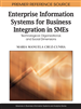 Enterprise Information Systems for Business Integration in Global International Cooperations of Collaborating Small and Medium Sized Organisations