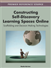 Constructing Self-Discovery Learning Spaces Online: Scaffolding and Decision Making Technologies