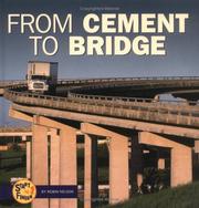 From Cement to Bridge (Start to Finish) by Robin Nelson