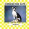 Cover of: Cornish Rex Cats (Cats Set III)