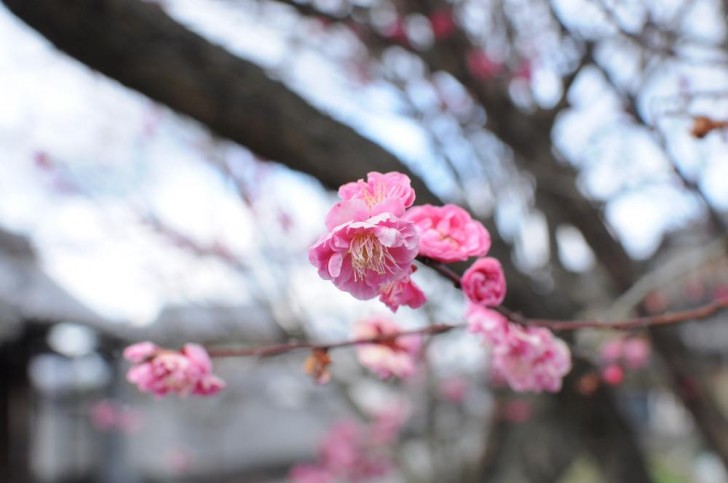 単焦点・35mm・F5.6