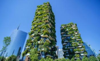 What are the Positive Human Effects of Biophilic Urban Planning?