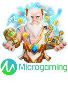 MicroGaming