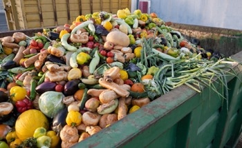 Researchers Unveil Potential of Fungus N. intermedia to Upcycle Food Waste