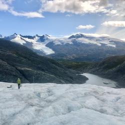 exposed ablation stake in the fall at Wolverine Glacier