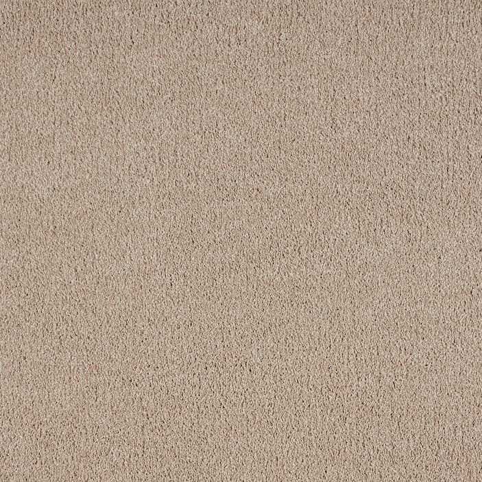 Bedroom in Texture Carpet