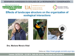 Cartell Mariana Morais Vidal - Effects of landscape