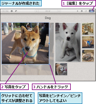 1［編集］をタップ,2 写真をタップ,3 ハンドルをドラッグ,グリッドに合わせてサイズが調整される,ジャーナルが作成された,写真をピンチイン／ピンチアウトしてもよい　　　　