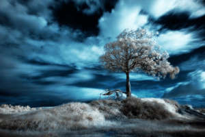 人類滅亡後のような写真の数々 - Infrared Photography -