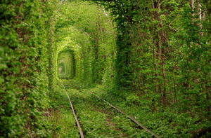 幻想的で美しい、恋のトンネル - tunnel of love -