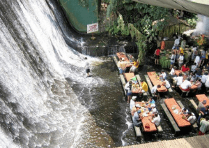 流されてしまいそうな滝の中のレストラン - Waterfalls Restaurant -