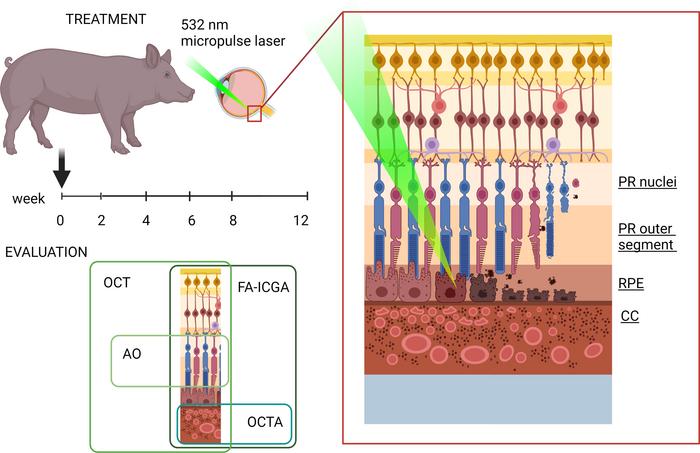 graphical abstract